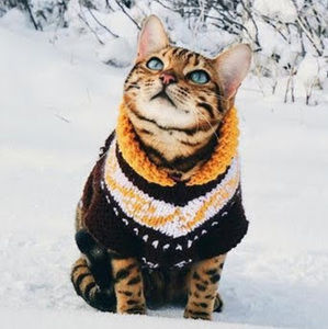 Meet your Posher, Trần gia